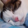 すずき profil fotoğrafı