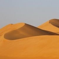 عروق | URUQ's profile picture