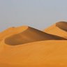 Фото профиля عروق | URUQ