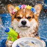 ครองแครง💛💜🧡🩵 profil fotoğrafı