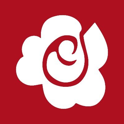 Radicali's profile picture