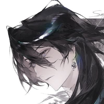 sollvarti's profile picture
