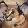Profilbild von Telefonista do usaram seu cartão.