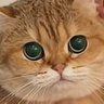 Princess profil fotoğrafı