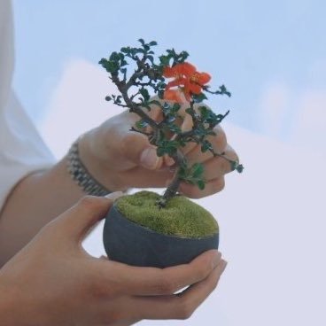 Bangtan Greenhouse⁷ 🌷's profile picture