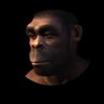 Profilbild von ActuallyCave