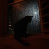 Фото профиля BagholderHunter