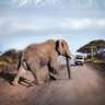 Фото профиля Judy Njogu