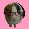 Profilbild von 카이 ꕥ