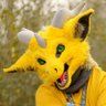Фото профиля Krypton Mustard Derg