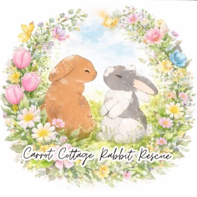 Carrot Cottage Rabbit Rescue's profile picture