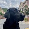 Xu Eric's profile picture