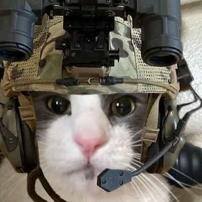DailyCatConsign's profile picture