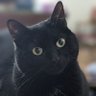 Profilbild von Catrin Jones