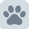 Xyz Abc's profile picture