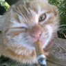Carol .:$ profil fotoğrafı