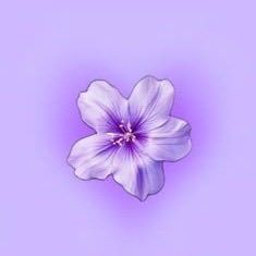Lilac's profile picture