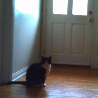 tsubiclub's profile picture