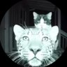 ود profil fotoğrafı