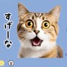 ぬこ浪 的头像