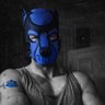 Profilbild von Woof The TOP Hung Alpha Pup 🔞 🔜 Fetish Pride MFP