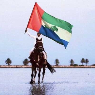 omar055463's profile picture