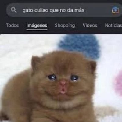 morwww's profile picture