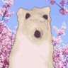 wuwwers -🎖️⭐'s profile picture