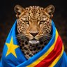 Profilbild von Mwana Bansakusu