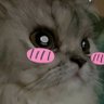 Hira profil fotoğrafı