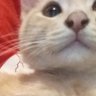 Profilbild von Astro_om999