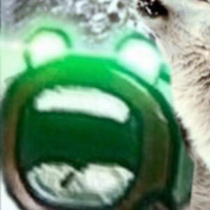 ContentGd's profile picture