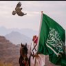 عبدالعزيز العتيبي🇸🇦🇸🇦 的头像