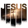 JBS.D's profile picture