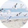 ألطاف's profile picture