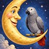 chandasitara2's profile picture