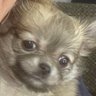 Charles's profile picture