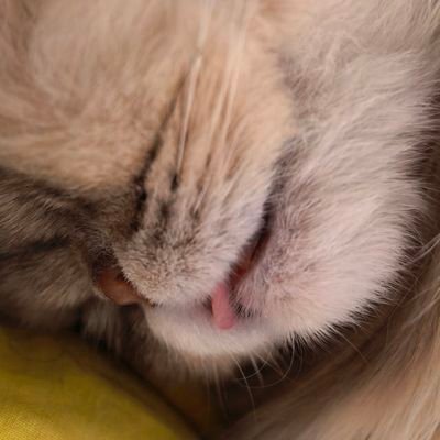 yuzijiangxi's profile picture