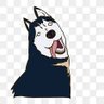 Lavine's profile picture