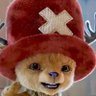 tony-tony Chopper profil fotoğrafı