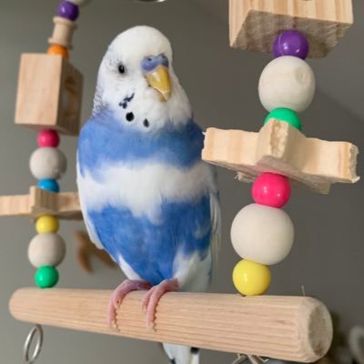いと's profile picture