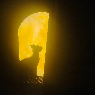 不到120斤不改名版's profile picture
