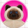 たぬ's profile picture