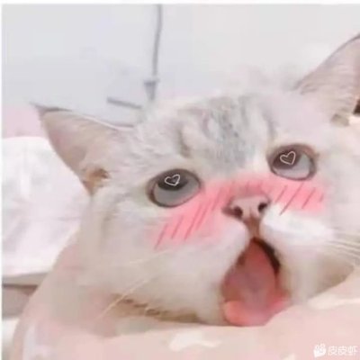 Daifujj00's profile picture