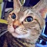 あさみ's profile picture