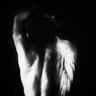 bornfromsilence's profile picture