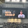 せーぽん's profile picture