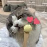 Profilbild von ジュン