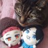 Profilbild von ミクギュン🥦🐬🐱🐾