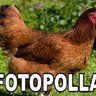 sucioelondemierda's profile picture